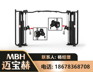 张家界大飞鸟训练器