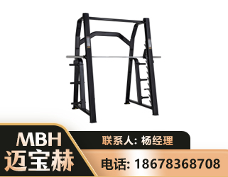 张家界史密斯机